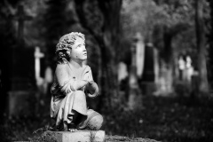 Dunkel-ist-das-Leben-ist-der-Tod-1
