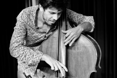 Fabrice Tarel Trio