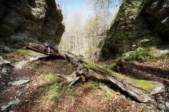 Wandererfantasie