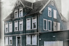The-House-of-leaves