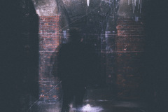 house_of_leaves-II