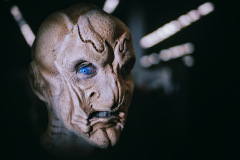 Kelpianer_Saru-to_be_or_not_to_be-b