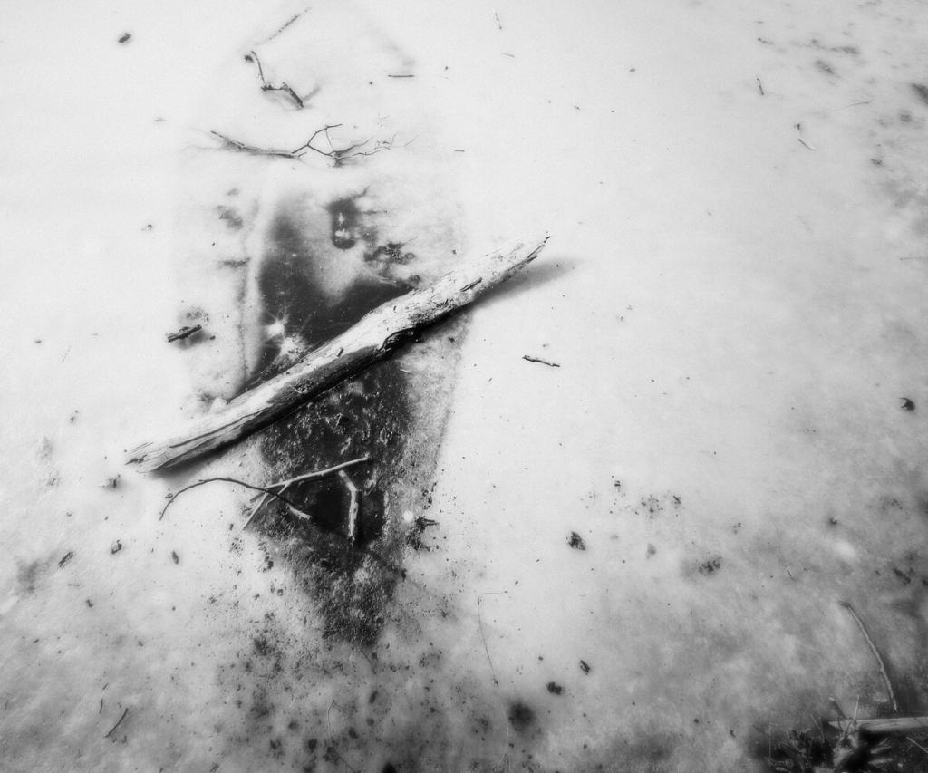 Zweite Expedition des Ernest Shackleton